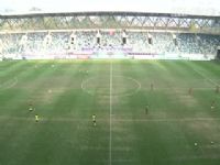 �������� ������������VS������ʨ������Ͷ 20241012