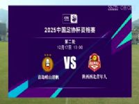 ��Э���ʸ��� �ൺ��ɽ�۷�VS�������������� 20241217