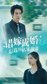 ���޳ɻ��ܲõ�˽������