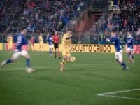 ������� ����VSά���� 20250201