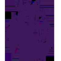 Ӣ�� ˮ����vs����20251130