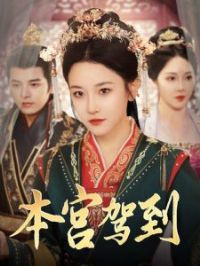 �����ݵ�