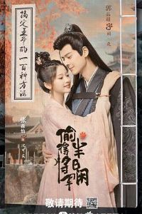 ͵�ý���������